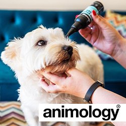 Animology - Dog Grooming Wellness